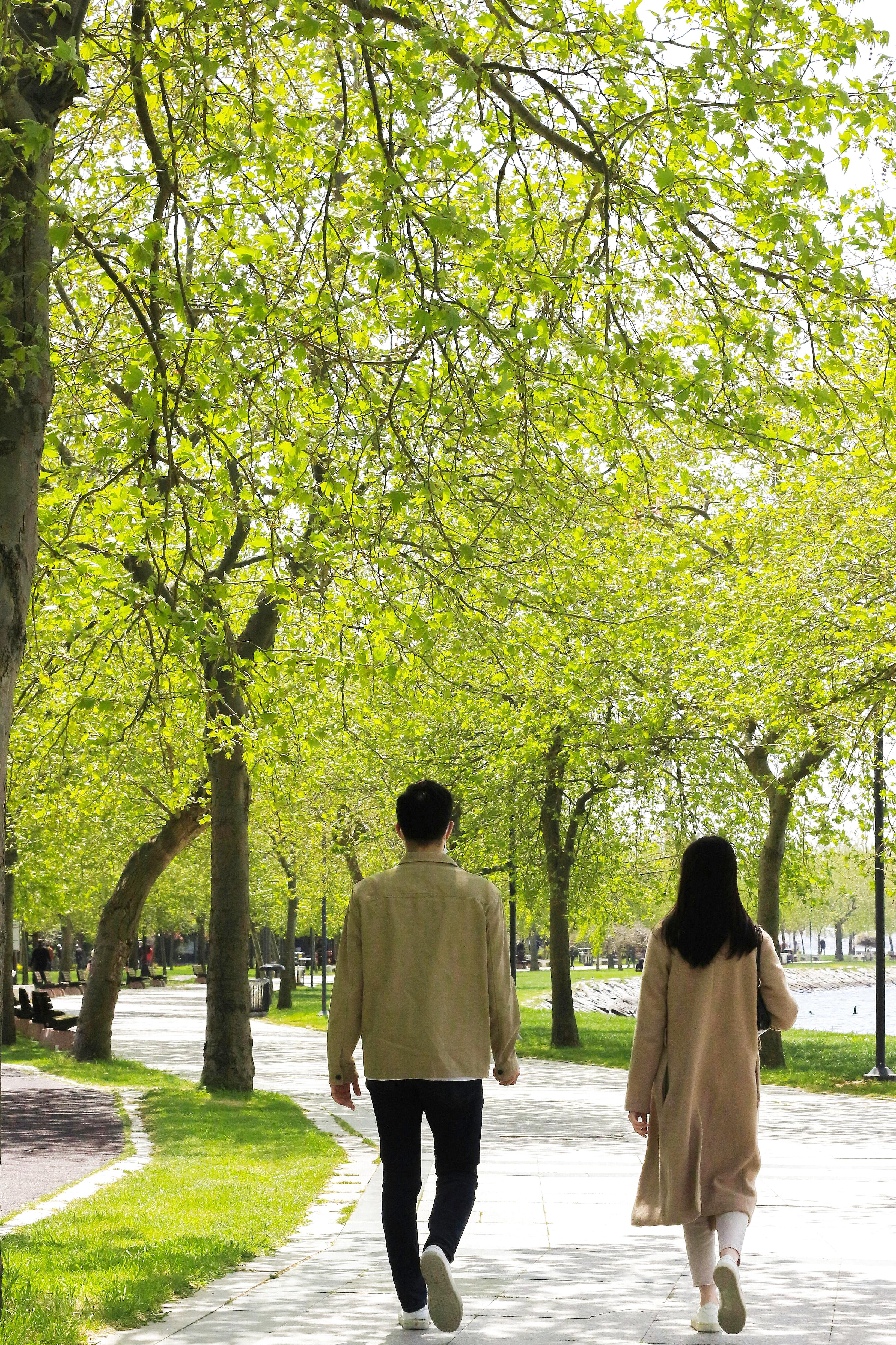 Person walking peacefully in green park morning light mindful lifestyle