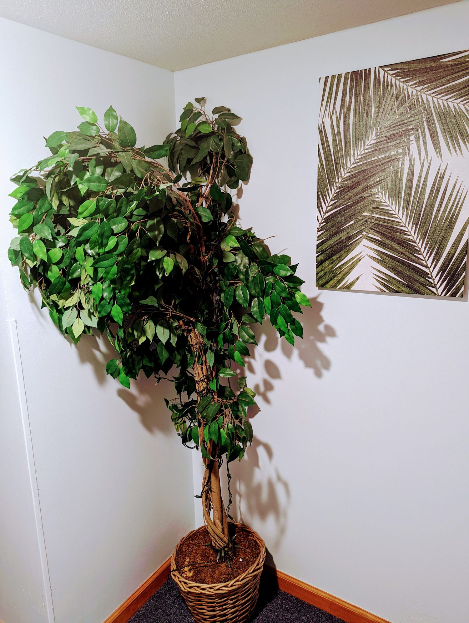 Photo 18