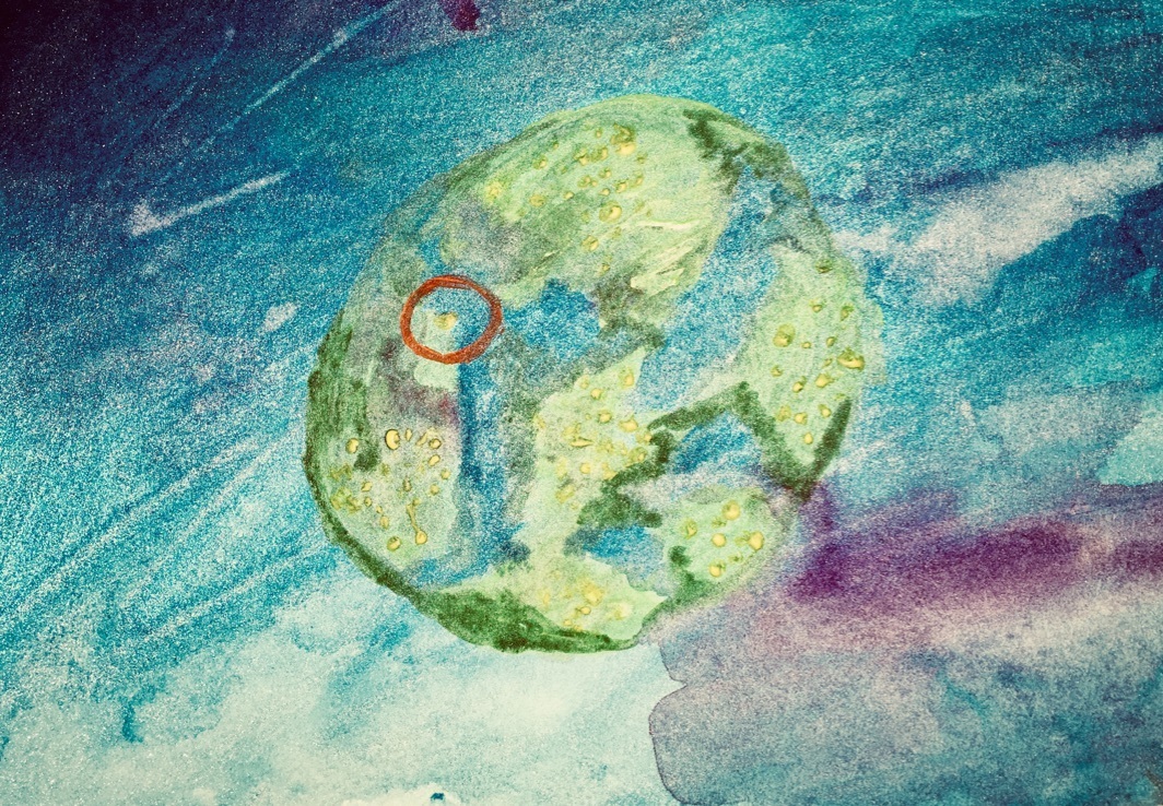 Photo 7